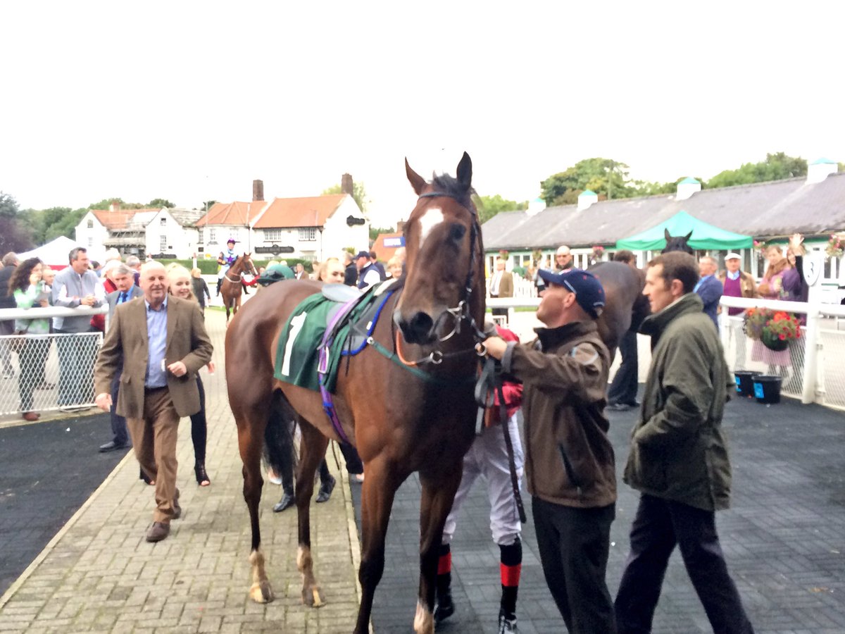 CatterickRaces's tweet photo. Old China wins the sixth race today, trained by John Davies - congratulations to all connections! https://t.co/tMZqji3oTp