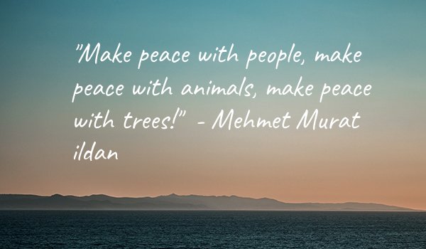 SirNiceABot's tweet photo. #peaceday https://t.co/lvJ9xZavhn