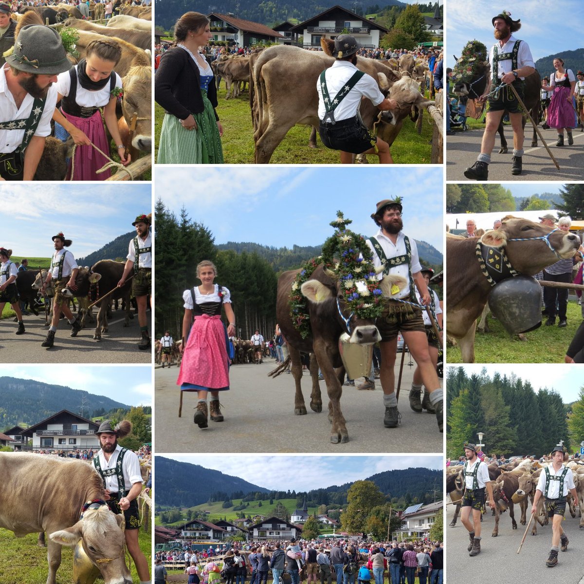 OdetteterBraak's tweet photo. Nog 1 Viehscheid/Alpabtrieb  De grootste van de #Allgäu Bayern Mooi weer, veel bezoekers en 1200 koeien #Obermaiselstein https://t.co/OGsjVh7EgY
