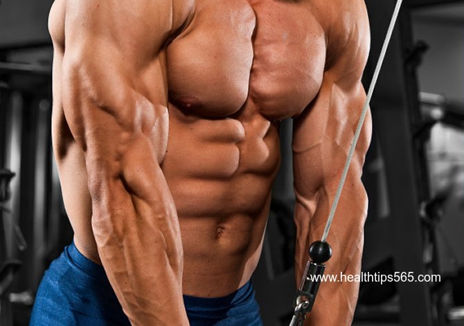 HealthTips565's tweet image. Hello, Want to gain triceps size? Click the link now- healthtips565.com/2017/09/the-5-…