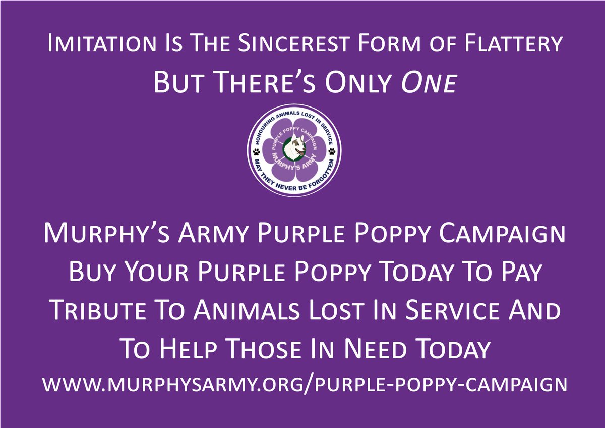 Karen_Pritchard's tweet image. Please show your support for our Purple Poppy Campaign - helping animals in need today #murphysarmy #firesidek9 #purplepoppycampaign