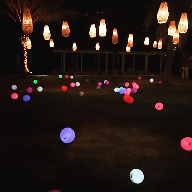 May your Saturday be as colourful as this one #flammbodrum