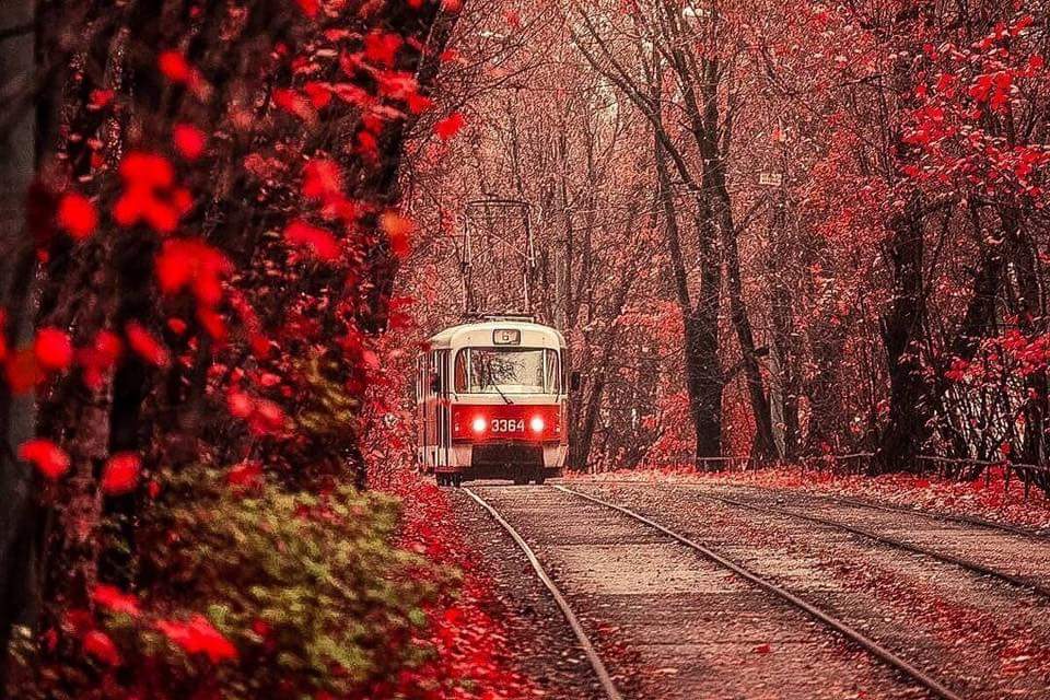 Discopolis3's tweet photo. Incluso con Putin, el otoño es rojo en Moscú. Spasiva Ludmila. (Fall is Red in Moscow, even in Putin's time). https://t.co/nknrmMe2kv