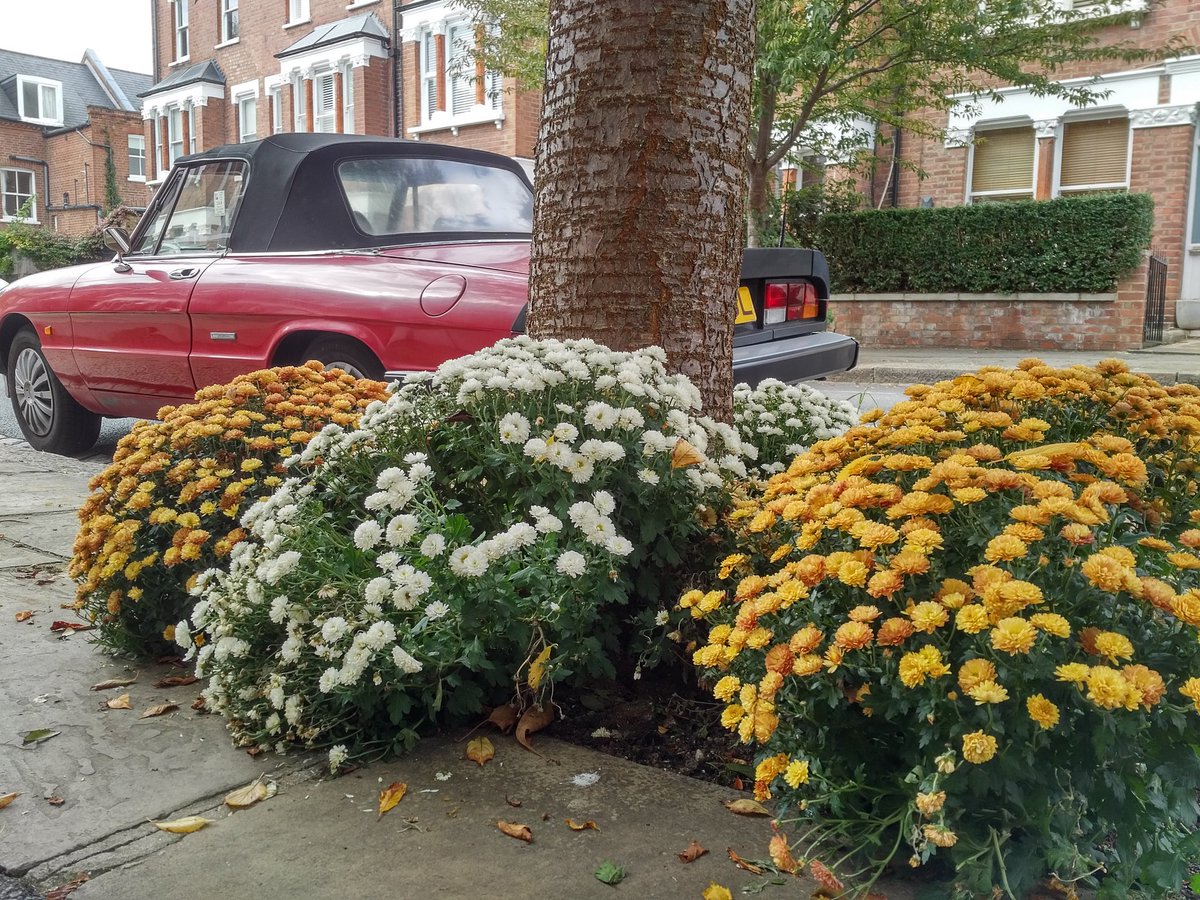 MarxdeMorais's tweet photo. It really works residents expanding #GuerrillaGardening all over #GospelOak. Together for a #GospelOak that works for everyone. #GuerrillaGO https://t.co/YRT7bEmggg