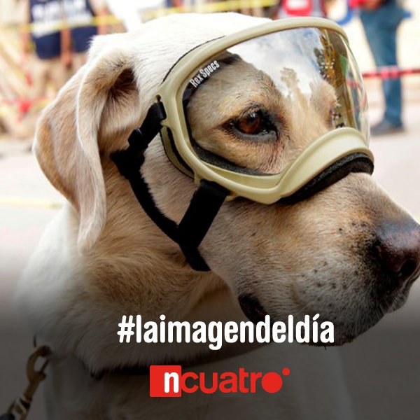 Noticias Cuatro tweet media