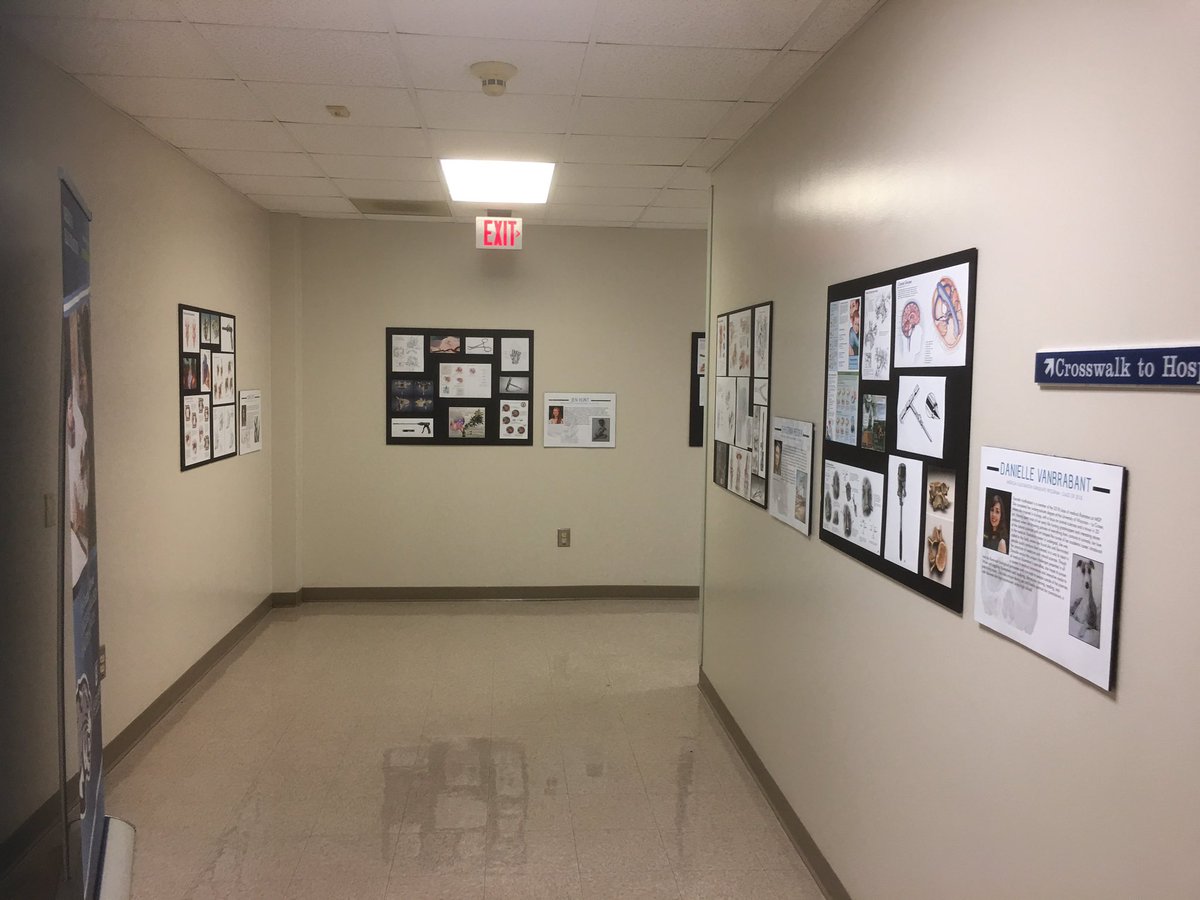 Join us today 2-4 pm for our Senior Show opening. @augustagraddean <a href="/AUG_University/">Augusta University</a> art displayed until 10/6. Pavilion III (CJ) lobby.