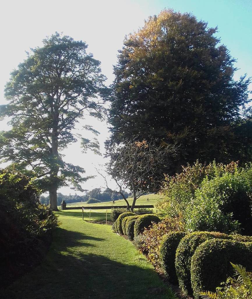 TrekMiles's tweet photo. Nice place to #trekmiles today in #petworth. #trees #charitywalk #gpstracker #altcoin https://t.co/WTLCO1cbwm https://t.co/jcmdsDKgXn