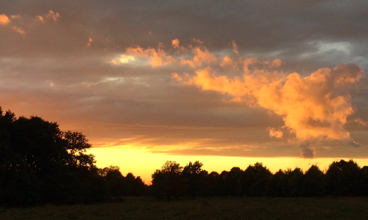 CatherineEsse's tweet photo. Low-key #greyscape #sunset skies for us tonight, so here's a #peachy moment from Thursday evening in # Lincoln 🍑🌄✨@HARTResearch @sjholt50 https://t.co/ovTV3EAbrb