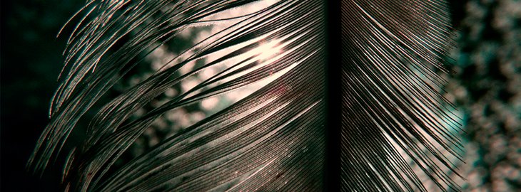 BabaRamDass's tweet image. Mindfulness of Breath - ramdass.org/mindfulness-br…