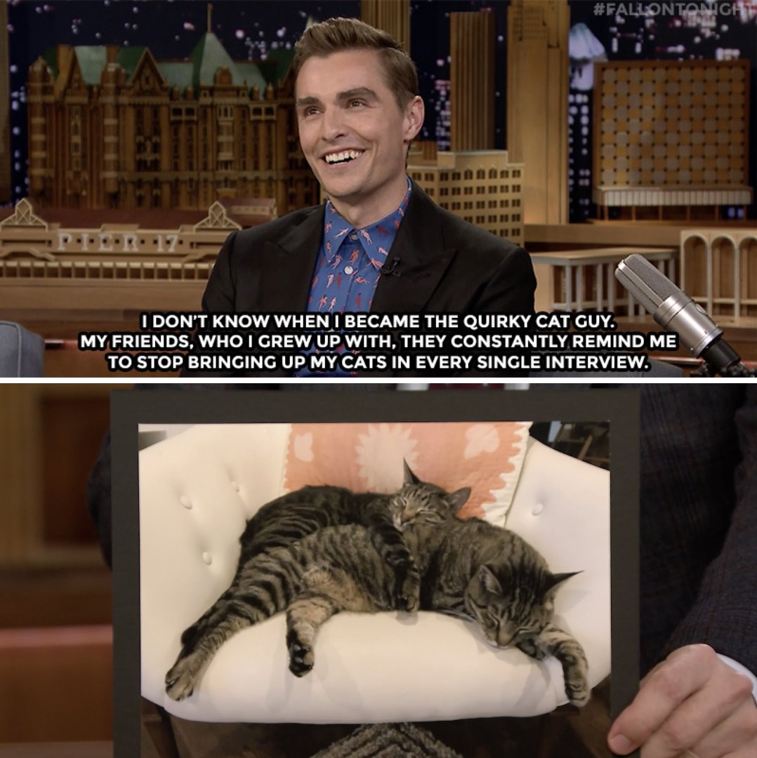 32 cats you didn't know were Instagram famous 