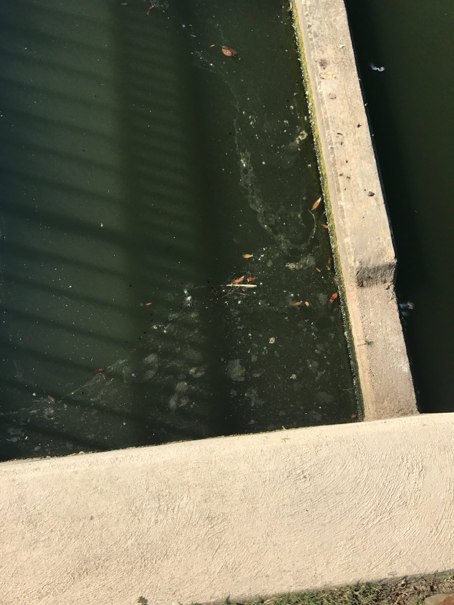 AmandaLaskyy's tweet photo. The pond in Gibbs Station is murky with oil separation on the surface and light barely reaches a few inches deep.  #EnviroDenton @1JDenton https://t.co/s9jPr8JFa2