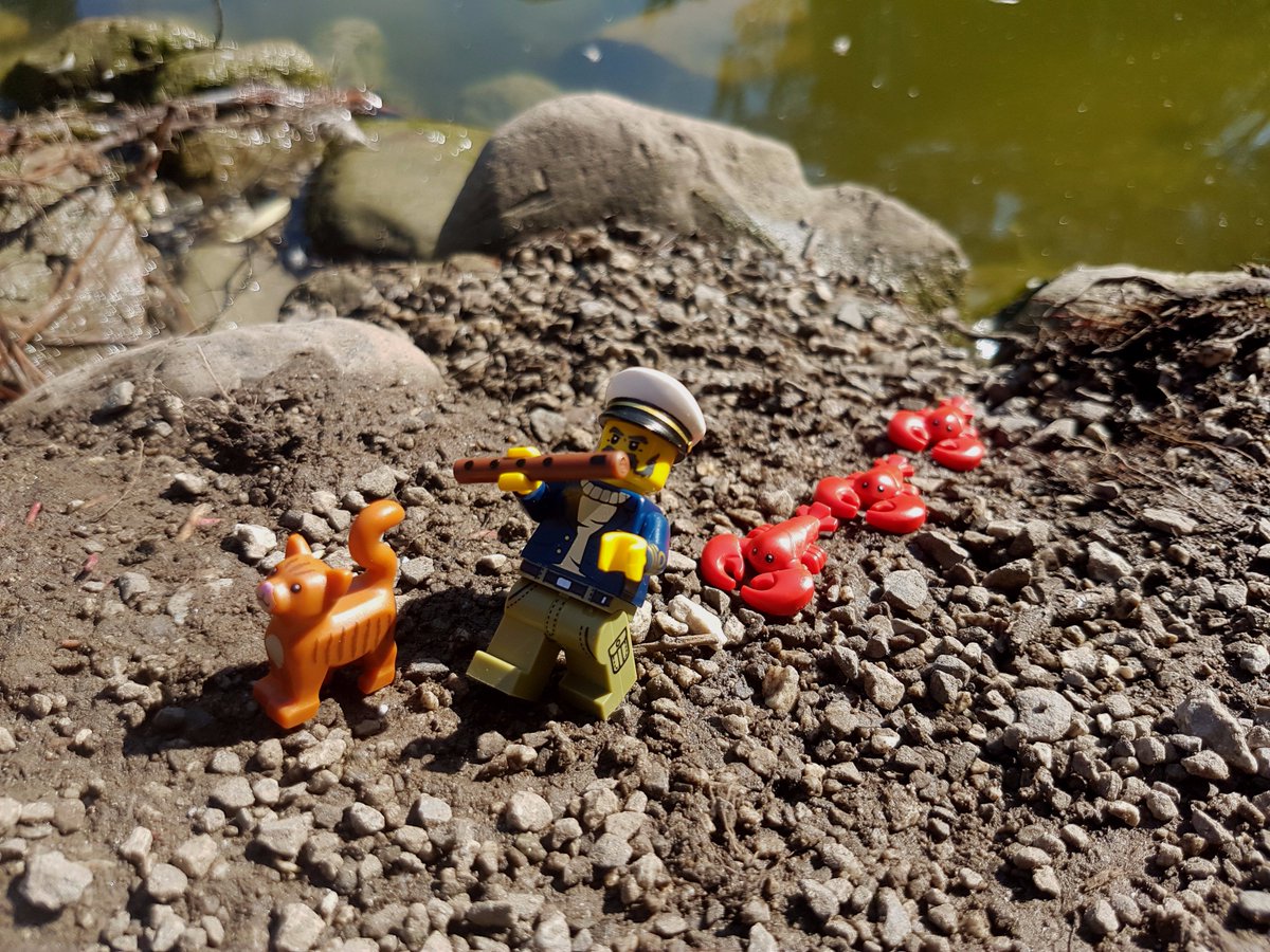 MinifigureP's tweet photo. Anton trying a new method to catch lobsters in Kariya Park. Seems to be working!
#whereisanton #stuckinplastic #LEGOOldFishingStore https://t.co/fWvtMYPyy7