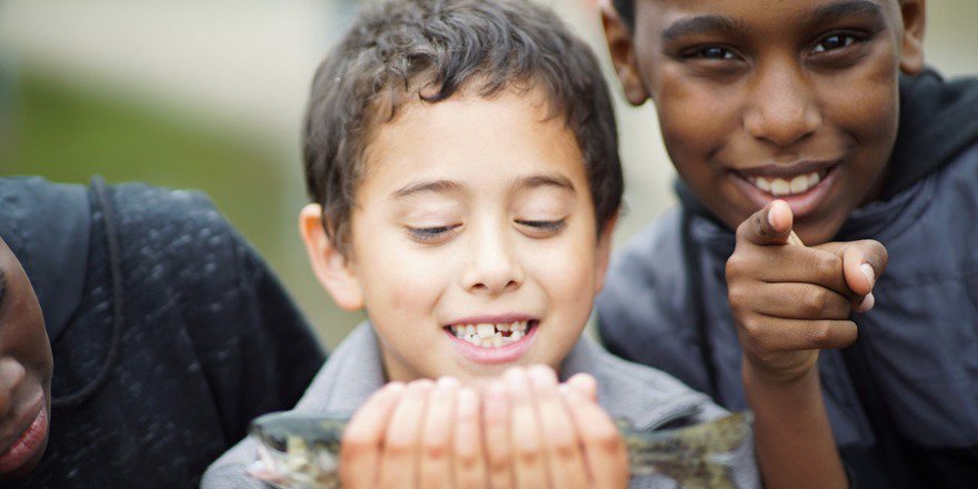 "Hooked: Summer of Firsts" via <a href="/USFWSAlaska/">USFWS Alaska</a> salm.onl/2gZguXE