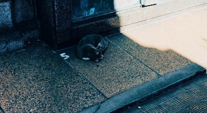 BlakeUpdatesPL's tweet image. #UPDATE

Blake posted this on Instagram | throughblakesview