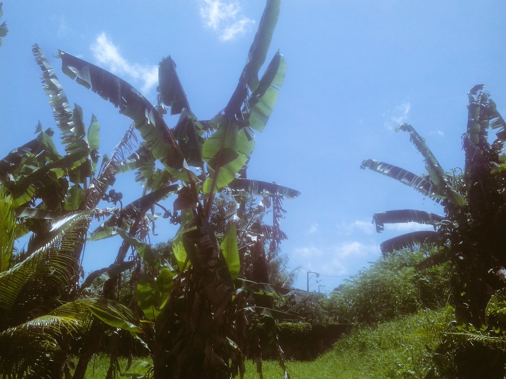 lene694's tweet image. 