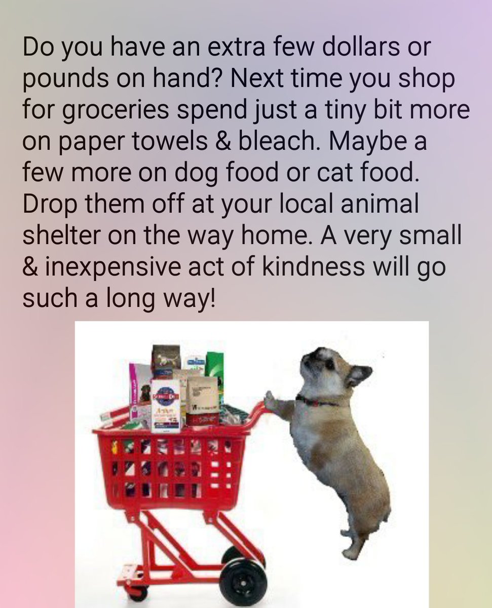 #OTLFP Please don't forget the less fortunate furs. It's easy to help &amp; they would be so grateful! <a href="/MillieOTLFP/">Millie🐾🌈#oneforallandallformillie 🐾🌈</a>