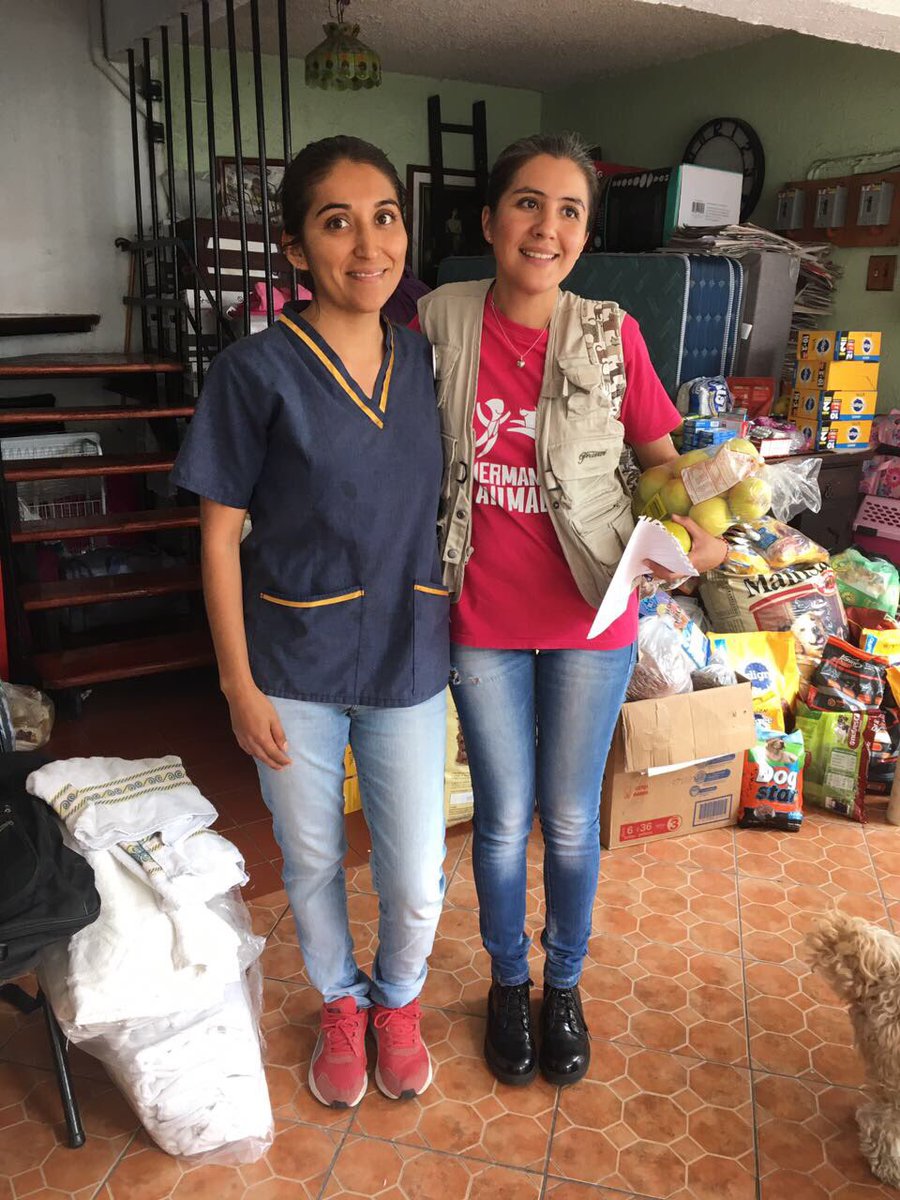 23-sep Recibiendo ayuda de vecinos de Coyoacán. ¡Gracias! 🐱🐶👊🏽💕#MascotasSismo #AnimalesCDMX #19S #AyudaCDMX