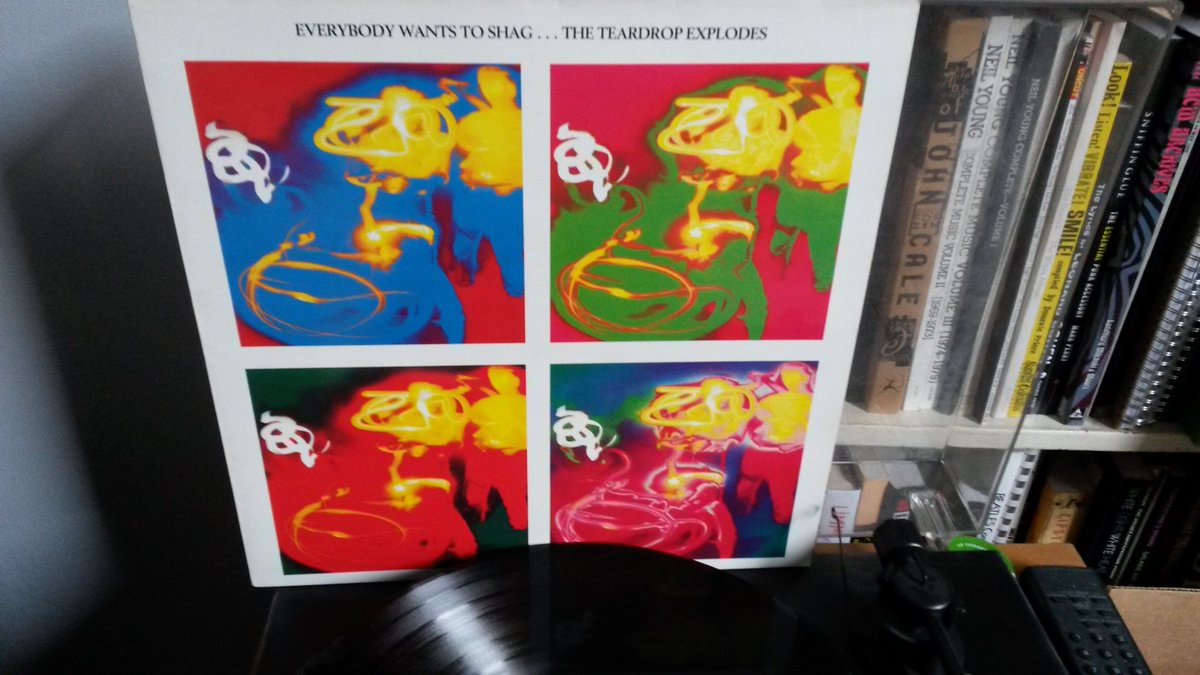 TerryTochel's tweet photo. #NowPlaying Teardrop Explodes - Everybody Wants To Shag... LP #TeardropExplodes #JulianCope #DavidBalfe #GaryDwyer #TroyTate https://t.co/PnVId1yqsw