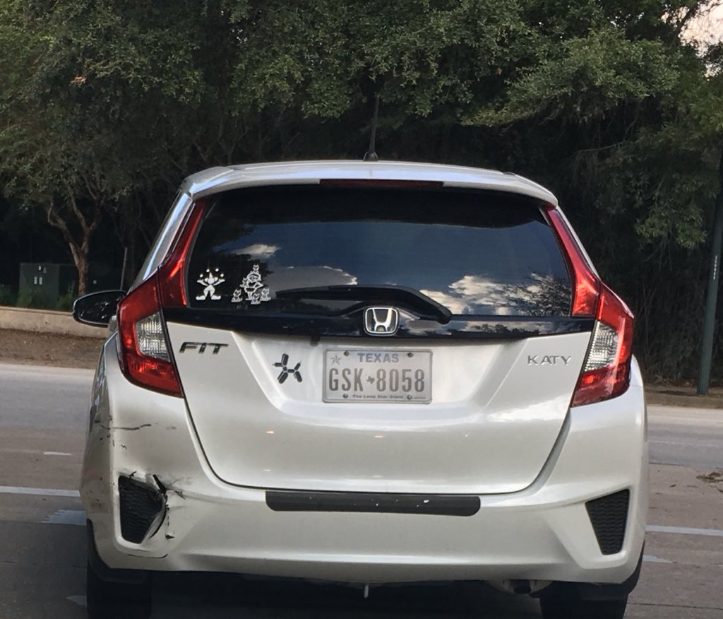 Mud Turtles 🐢 tweet media