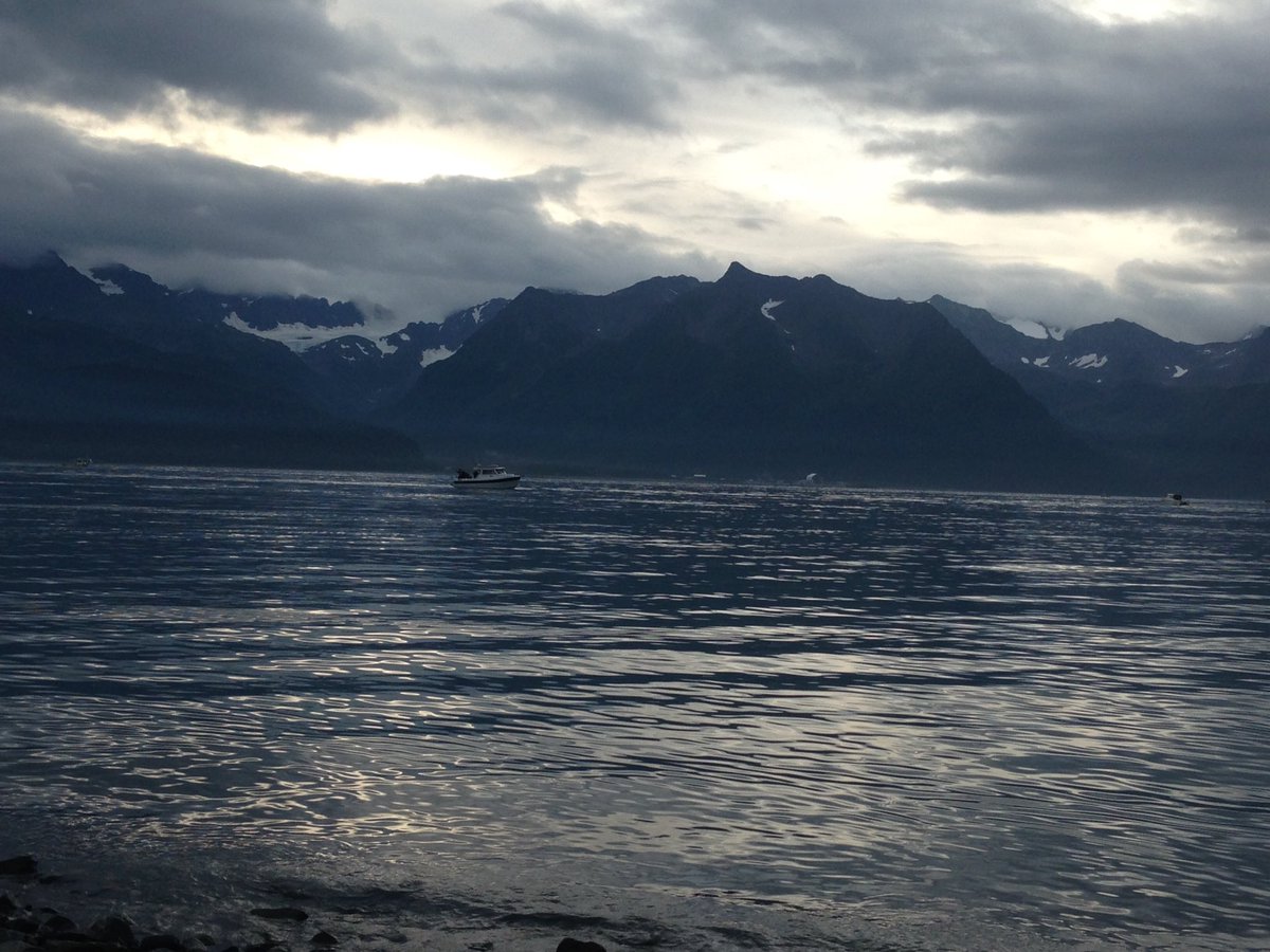 Hello_Ava_Cado's tweet photo. Alaska landscape pics taken by moi https://t.co/XlJGYlcJVH