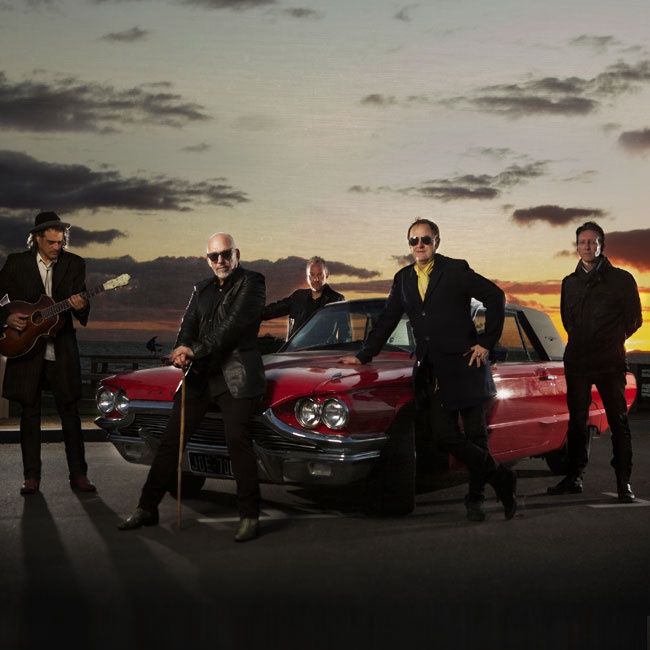 rush_festival's tweet photo. The Black Sorrows | 14 Oct | Albert Park Gympie #Rush2017 https://t.co/CNC7DL8q5x https://t.co/K0WvO2gtaa