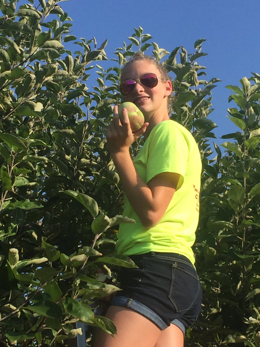 bartlop's tweet photo. Apple picking in 87 degrees? Never thought that would happen. Healthy and delicious. Fall=my favorite season. #FallinBuffalo https://t.co/pUFE2Alez9