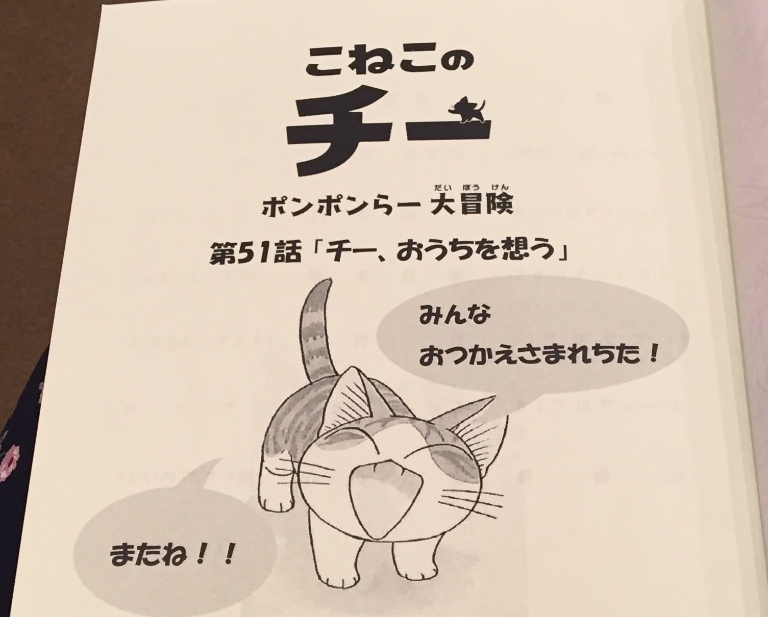 白石涼子 こねこのチー ポンポンらー大冒険 ありがとうございました 今日も朝からほっこり チー を観ている15分間はいつもニコニコ 癒される時間でした あっち向いてチーを家族みんなで出来たのも嬉しかったなぁ ヨウヘイ テリー また会いたいよ