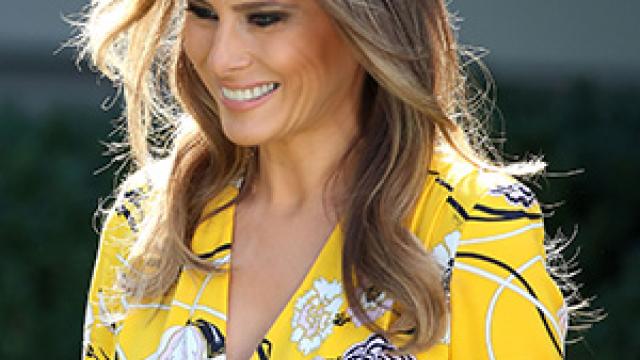 thehill's tweet photo. Poll: Melania is the most popular member of the Trump family https://t.co/NSkZTgaWc0 https://t.co/EJeJ6KYRKB