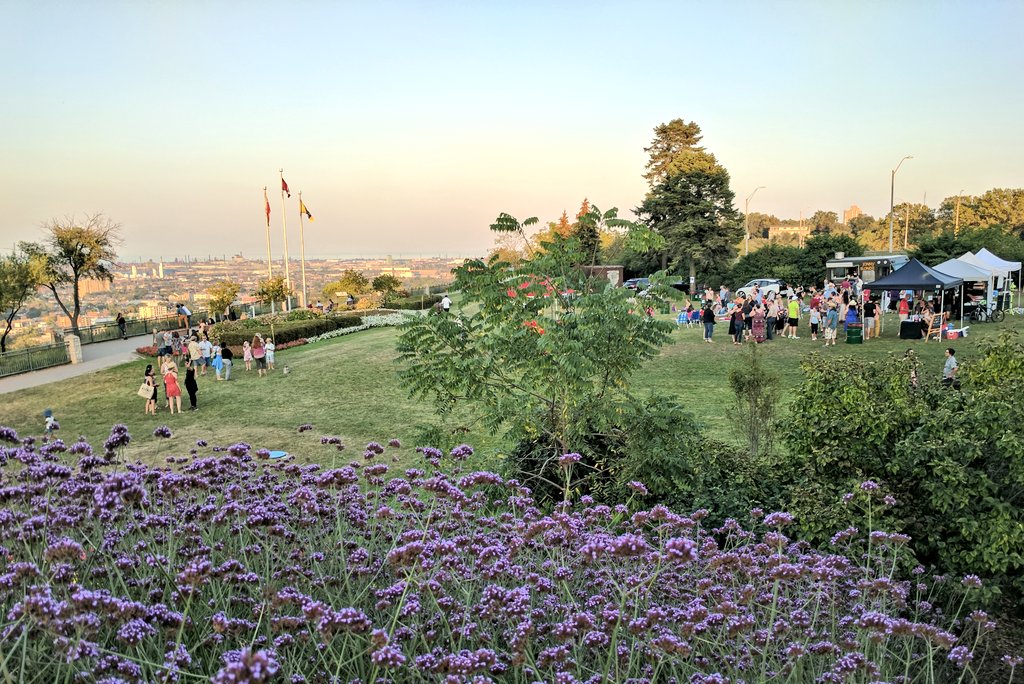 The Generator tweet media