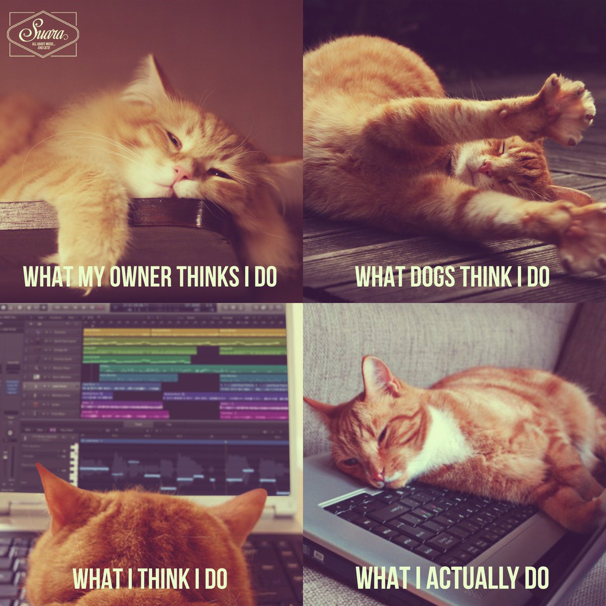 Productive Sunday? That's a good question...