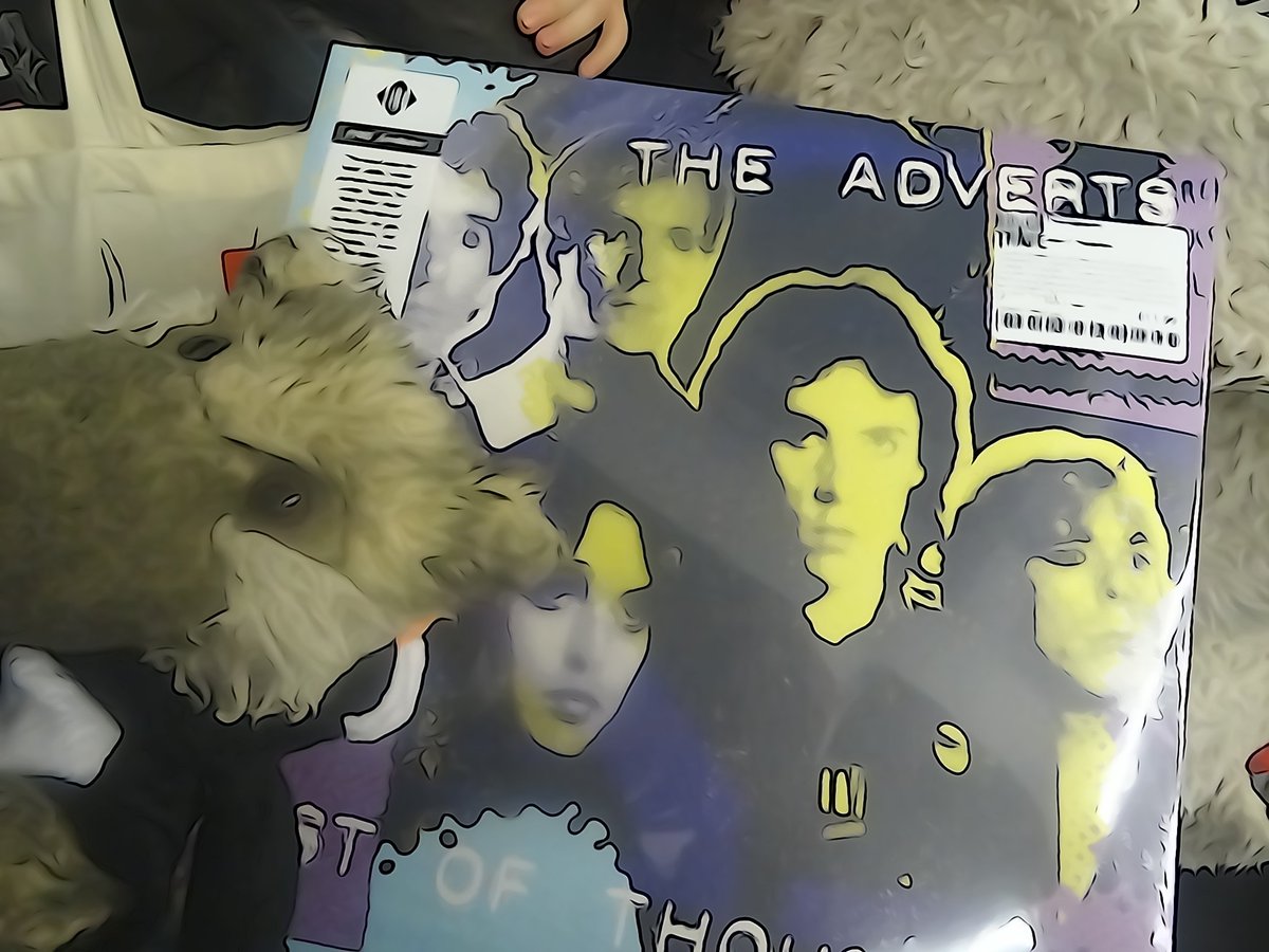 #RWolfston_Wolf is loving the new re-issue of a classic album by #TheAdverts - We love #GayeAdvert & #TVSmith youtube.com/watch?v=3uSNKv… #Punk