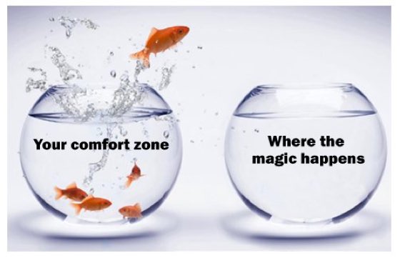 JoHallNZ's tweet photo. Who's making the leap? https://t.co/JjC1QwVeWH