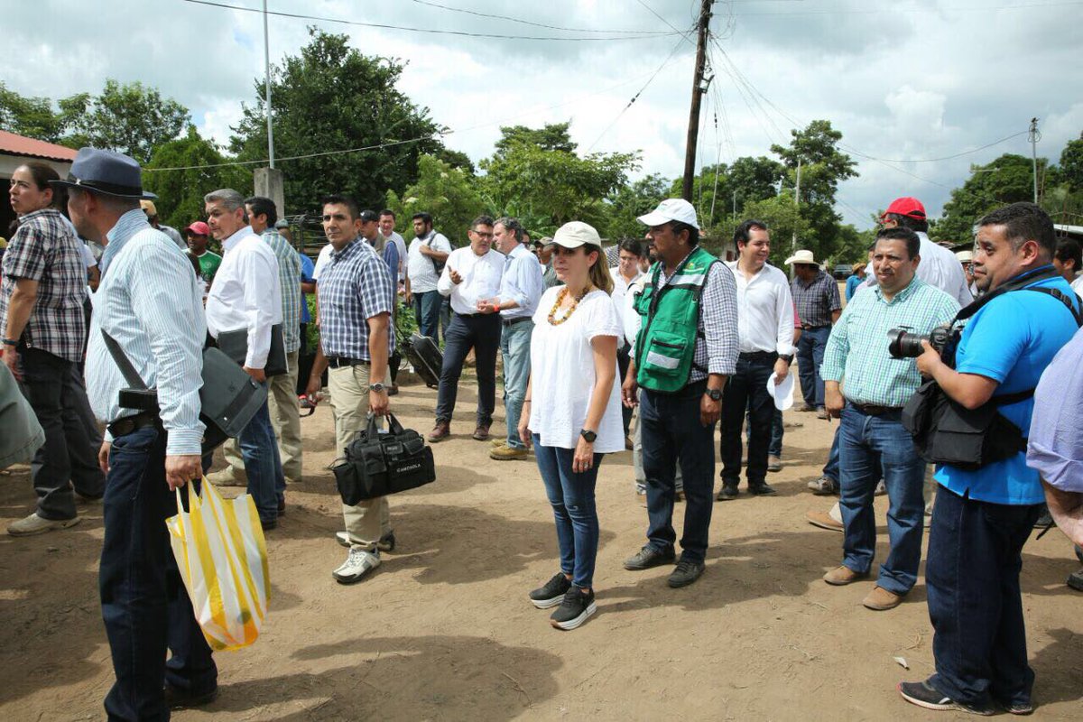 paula_hdz tweet picture