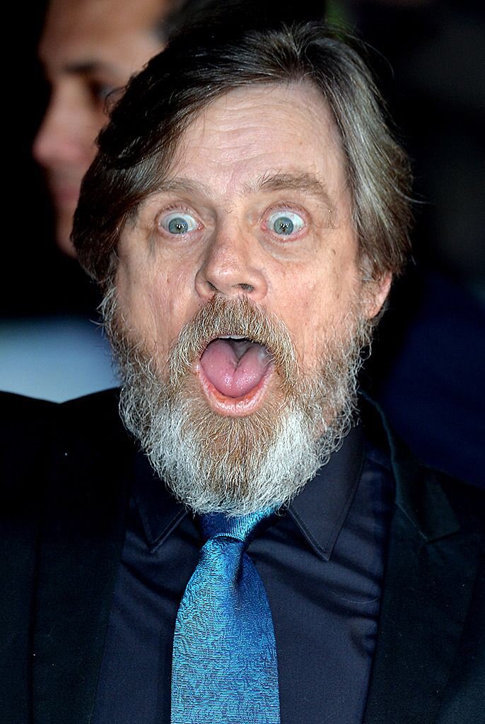 HamillsKnee's tweet photo. Nite Nite Don’t Let The Hamsters Bite @HamillHimself #GoodNightMark #SleepWell #HamstersUniteForeverAndShareLoveWithEachotherForEternity https://t.co/2BL2pPG5Be