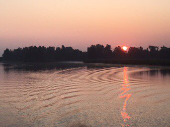 Zonsopgang na #brabantnacht in de #biesbosch