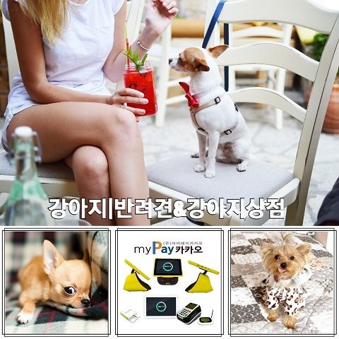 mypaykakao tweet picture
