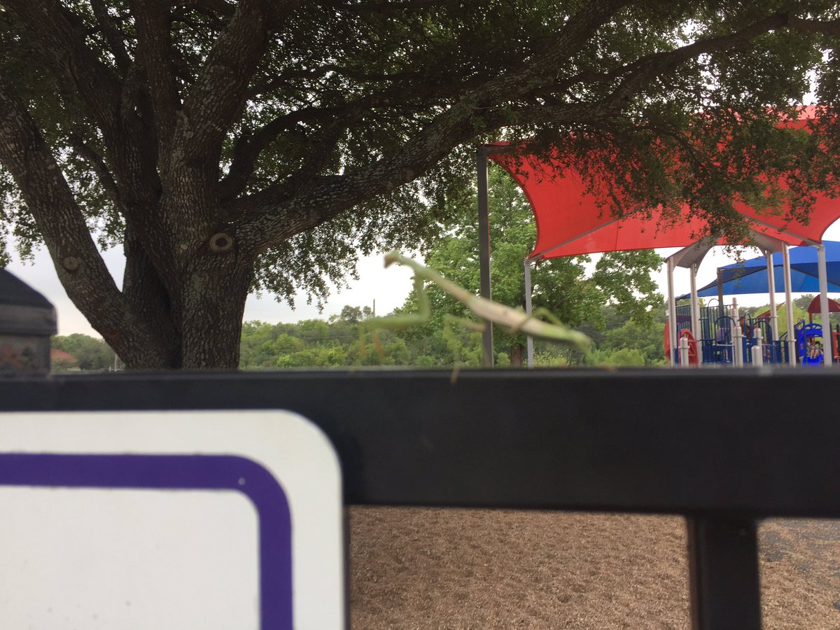 FNE Kindergarten tweet media