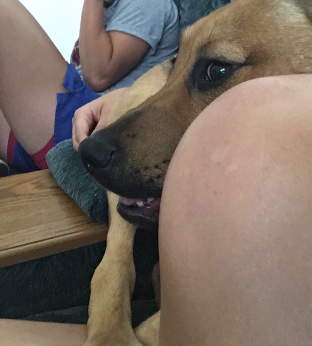 The face I make when I'm trying to be sneaky when I fart in front of people