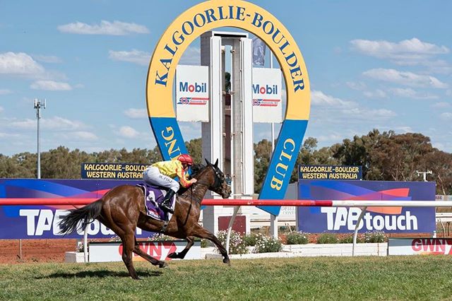KBVisitorCentre's tweet photo. Race Day has arrived! We hope everyone has a great time at #kalcup #kbrc #kalgoorlieboulder #thisiswa #goldenoutback #visitkalgoorlie https://t.co/85eFO7xwbX