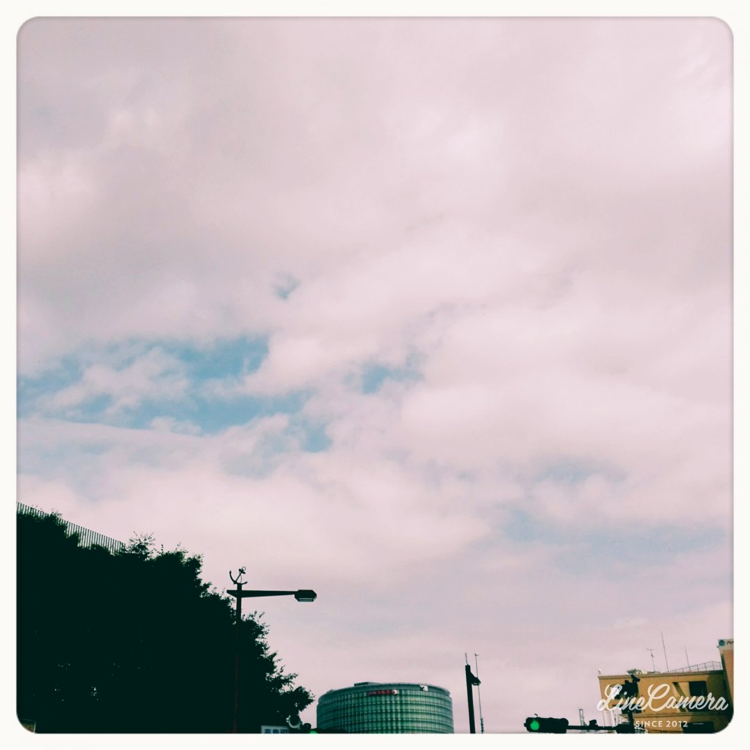 kaisemitsuki's tweet photo. #イマソラ #nature #beautiful #ファインダー越しの私の世界 #趣味 #いいね返し #コメント大歓迎 #友達募集 #インスタはじめました #instagood #me #TheNewAGEProject https://t.co/6EcKT1VJt1
