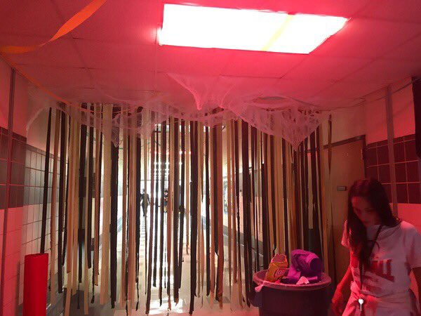 Great job decorating the hall Super Sophmores!!! Class of 2020 is the best!!❤️🐾