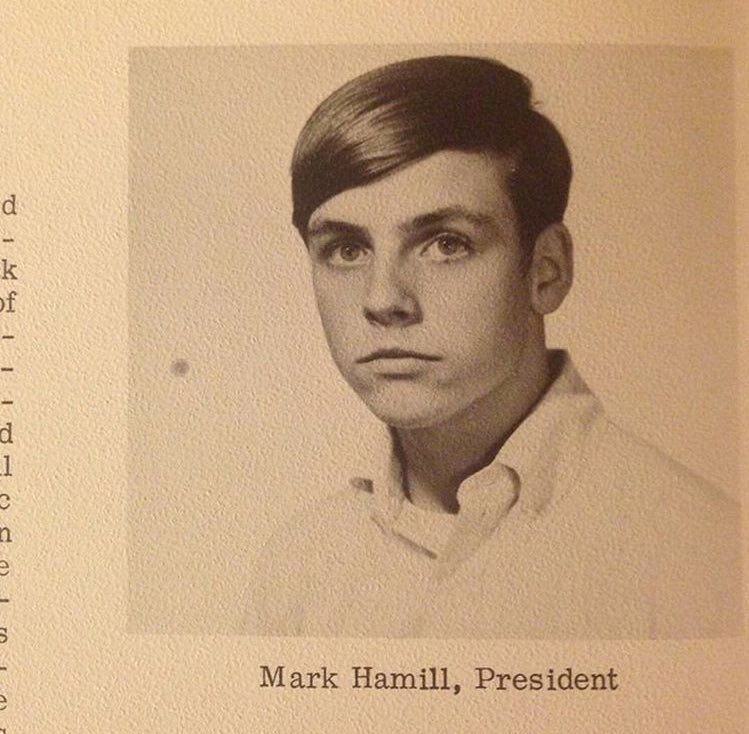 HamillsKnee's tweet photo. President of my heart @HamillHimself #Mark4President #MarkLove 🐹😍😍😍😍🐹😍 https://t.co/CygTpXYois