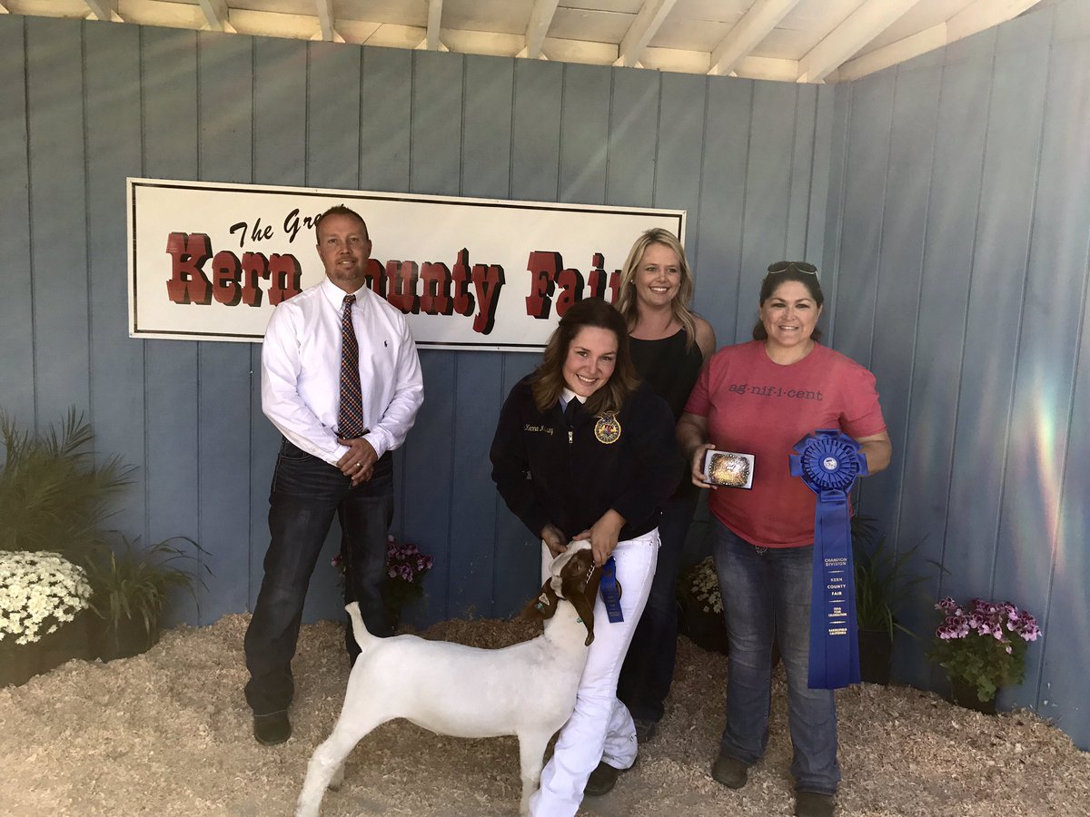 red_cares4u's tweet photo. So Proud of my Daughter McKenna she won Grand Champion Lightweight at the #Kerncountyfair #FrontierFFA https://t.co/GWlR9UcyYO