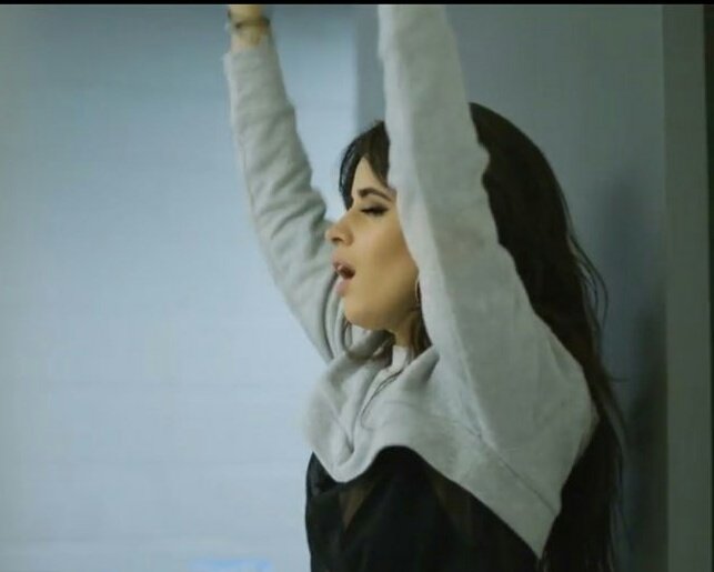 LababyCabello's tweet image. Ver a Camila y pensar en tanta literatura nocturna que todas tenemos en wattpad 😂😂😂