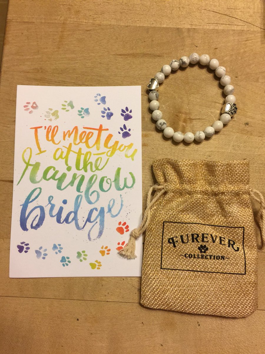 dawnlovesdavid2's tweet photo. A memorial bracelet I bought from https://t.co/nLv0mJr30A back in May in memory of my Misty. You will be forever in my heart. #PicsForPaws https://t.co/7pU3W9AFAv