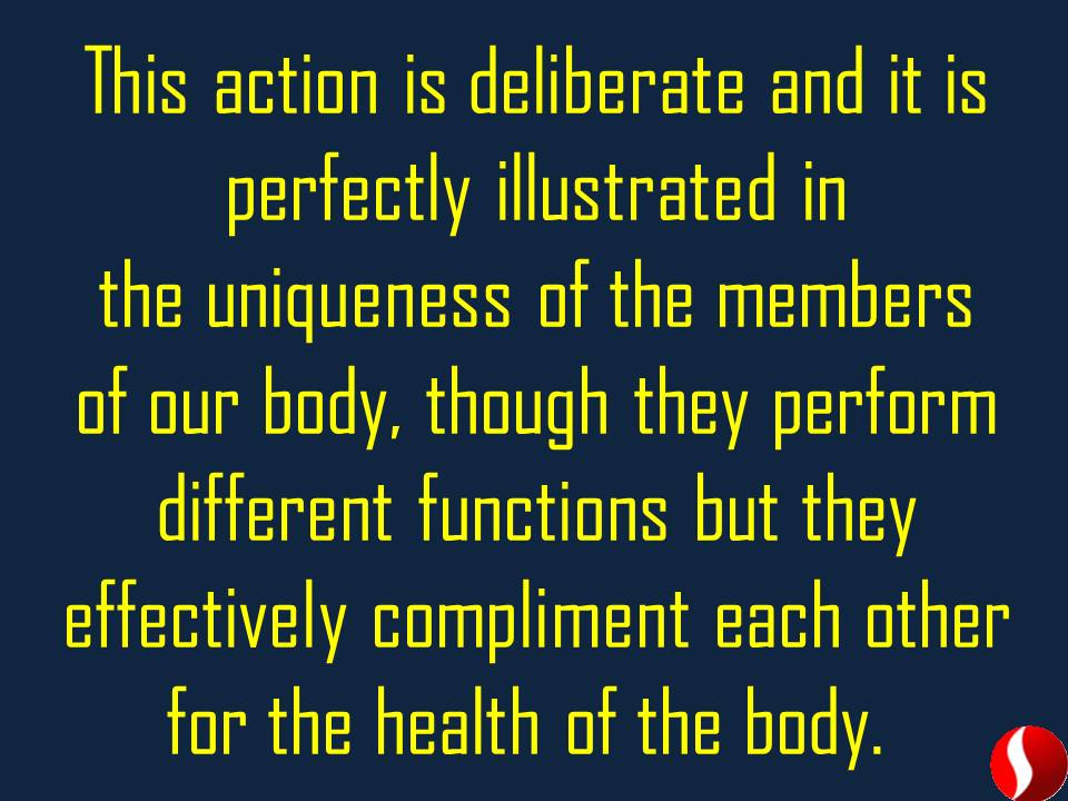 firstassemblyng's tweet image. #soaringthroughservice #firstassembly