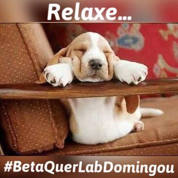 Hora de regarregar as energias!! Bom domingo a todos.
#BetaQuerLab
#BetaQuerLabDomingou