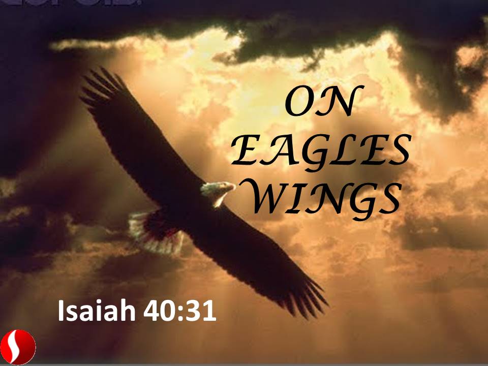 firstassemblyng's tweet image. #soaringthroughservice #firstassembly