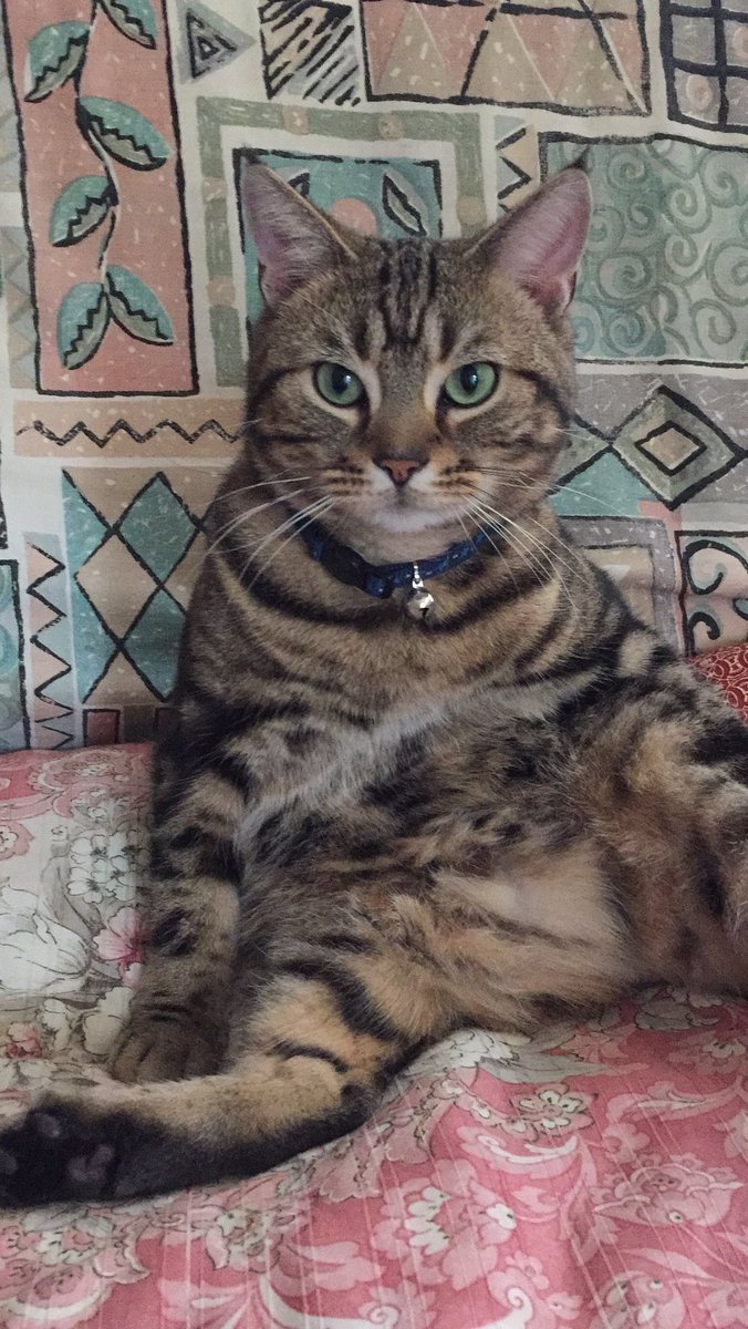 うがゆうま (@rikkyo16mr3) / Posts / X