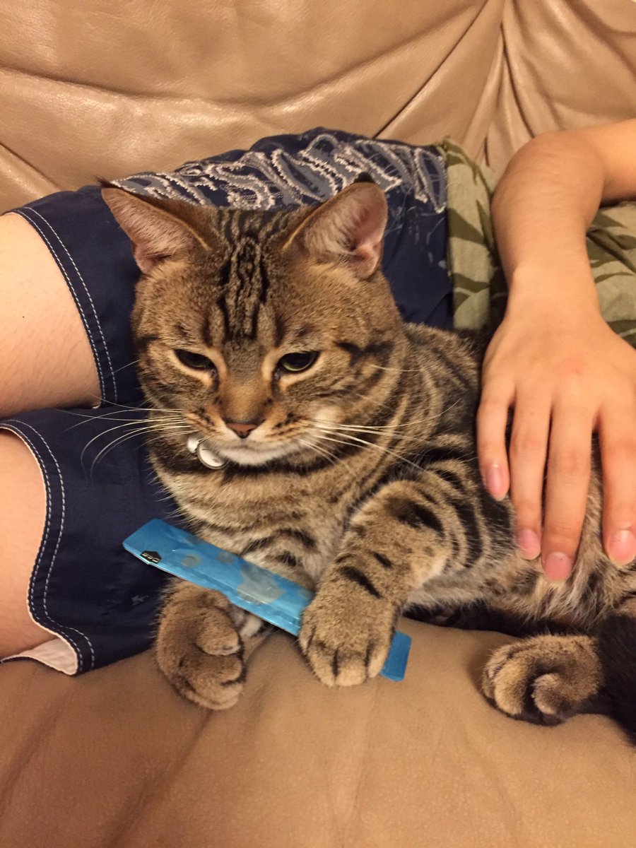 うがゆうま (@rikkyo16mr3) / Posts / X